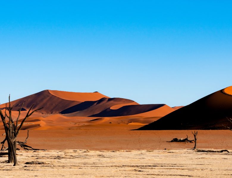 Viaggio alla scoperta del deserto dell’Africa australe: l’esperienza indimenticabile con Focus Himalaya Travel