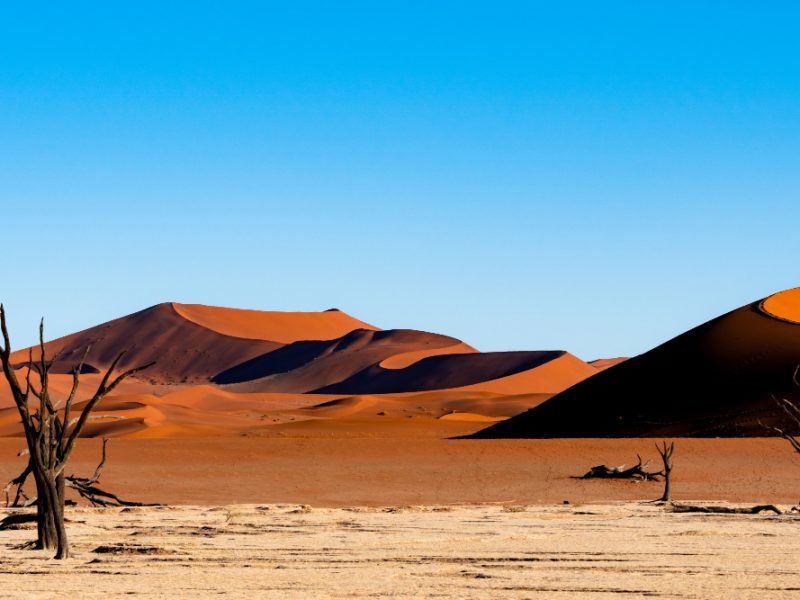 Viaggio alla scoperta del deserto dell’Africa australe: l’esperienza indimenticabile con Focus Himalaya Travel